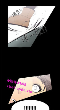 第81页图