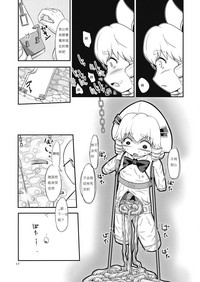 第17页图