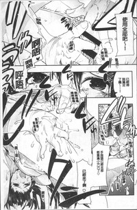第201頁圖