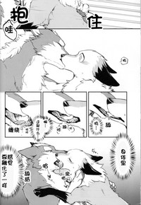 第17页图