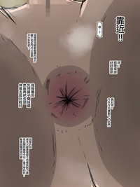 第33頁圖