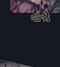 第113頁圖