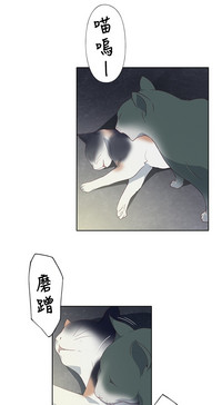 第209頁圖