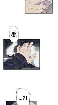 第213頁圖