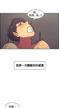 第237頁圖