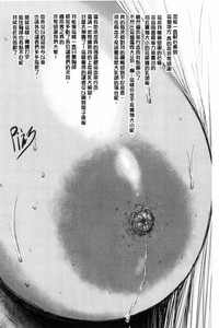 第205頁圖