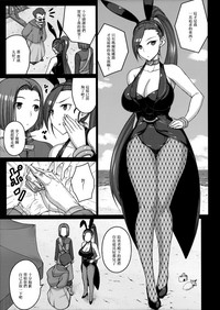 第5页图