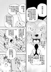 第41页图