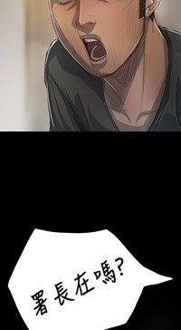 第381頁圖