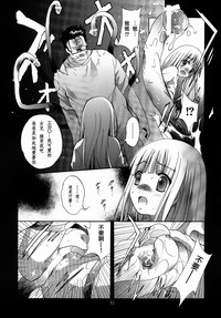 第33頁圖