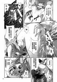 第61頁圖