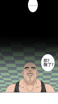 第381頁圖