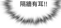 第409頁圖