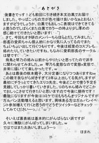 第25頁圖