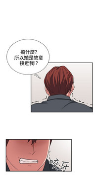 第261頁圖