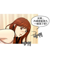 第33頁圖