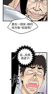 第213頁圖