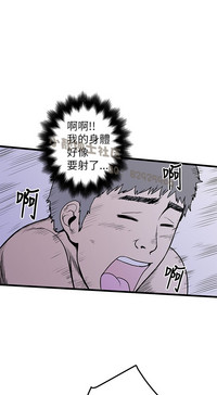 第293頁圖