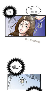 第297頁圖