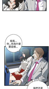 第305頁圖