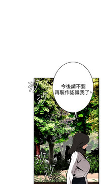 第97頁圖