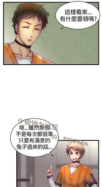 第213頁圖