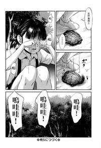 第97页图