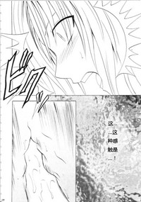第249页图