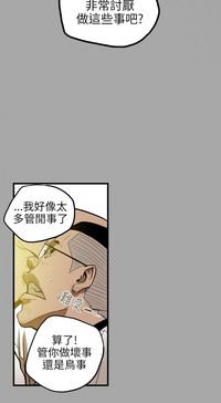 第213頁圖