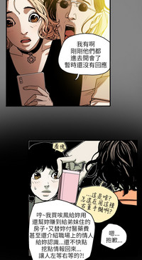 第241頁圖