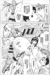 第205頁圖