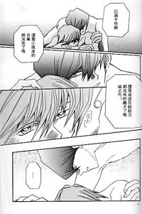 第41頁圖