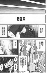 第89頁圖