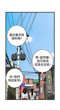 第413頁圖