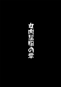 第17页图