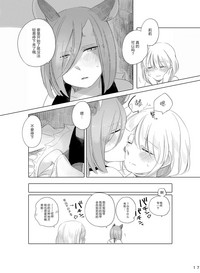 第17页图