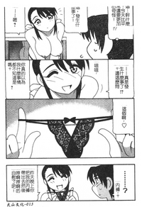 第13页图