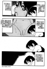 第33页图