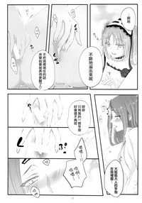 第17页图
