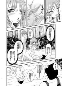 第69頁圖