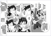 第213頁圖