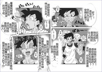 第221頁圖