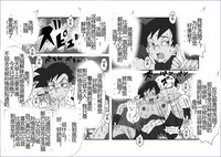 第225頁圖