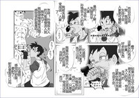 第229頁圖