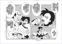 第249頁圖