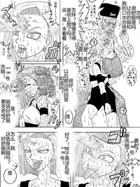 第313頁圖