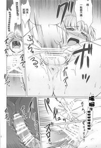 第33页图