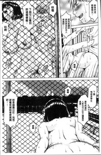 第161頁圖