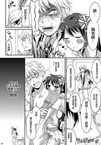 第29頁圖