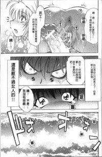 第241頁圖